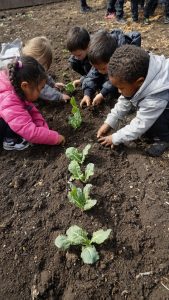 child planting